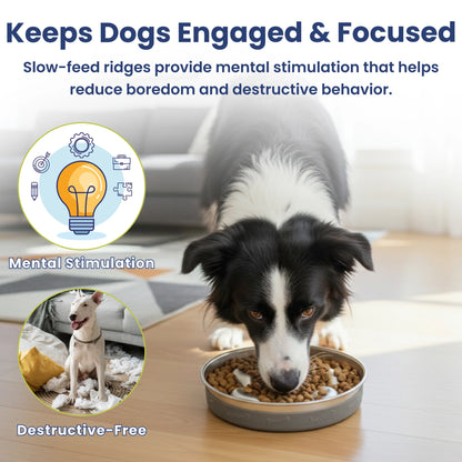 Stainless Steel Ridged Slow Feeder Dog Bowl